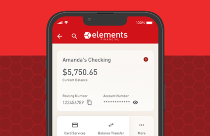 image of the new digital banking interface